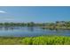 Scenic view of the pond and lush landscape surrounding the well-maintained community at 19325 Water Oak Dr # 305, Port Charlotte, FL 33948