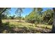 Backyard featuring green grass and scattered trees under a blue sky at 2836 Suncoast Lakes Blvd, Punta Gorda, FL 33980