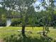Backyard view of mature trees, a dock, and canal, perfect for outdoor enjoyment and waterfront access at 705 Crestview Nw Cir, Port Charlotte, FL 33948