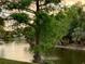 Picturesque pond view with mature trees and lush greenery, offering a serene and natural backdrop at 1305 Alton Rd, Port Charlotte, FL 33952