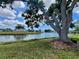 A scenic backyard view of the community lake, with mature trees offering shade at 749 Watersedge St, Englewood, FL 34223
