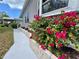 Close-up of a house with vibrant bougainvillea in raised planter at 749 Watersedge St, Englewood, FL 34223