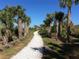 Picturesque walking path lined with palm trees, perfect for residents to enjoy outdoor strolls at 8968 Artisan Way, Sarasota, FL 34240