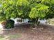 A light blue single-story home with a mature shade tree in front and vibrant flower bushes at 931 Juno Dr, Punta Gorda, FL 33950