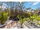 Landscaped backyard with mature trees and flowering plants at 2779 N Beach Rd # A, Englewood, FL 34223