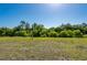 Spacious grassy property lot ready for building with distant view of lush mature trees and blue sky at 1606 Navigator Rd, Punta Gorda, FL 33983