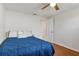 Bright bedroom with wood floors, ceiling fan, and modern decor at 3480 Pinetree St, Port Charlotte, FL 33952