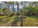Backyard featuring green grass, various trees and a partial view of a wood fence at 4290 Yucatan Cir, Port Charlotte, FL 33948
