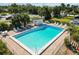 Aerial view of the sparkling community pool surrounded by chairs and lush tropical landscaping at 5416 Swift Rd # 27, Sarasota, FL 34231