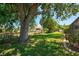 Backyard featuring a large shade tree and green grass at 452 Greenwich Nw Ave, Port Charlotte, FL 33952