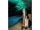 Outdoor pool features a palm tree with lights, enhancing the ambiance of relaxation and recreation at 719 Ellicott Nw Cir, Port Charlotte, FL 33952