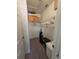 Walk-in closet featuring white walls, wire shelving, and storage with a wood cabinet at 1173 Belkton Ave, Port Charlotte, FL 33948
