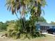Exterior view of blue home with screened garage and multiple palm trees in the front lawn at 1233 Dewhurst St, Port Charlotte, FL 33952