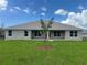 View of the home's backyard showcasing the newly planted tree and expansive green lawn at 26209 Madras Ct, Punta Gorda, FL 33983