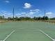 Outdoor basketball court with green surface and a hoop, surrounded by trees at 26209 Madras Ct, Punta Gorda, FL 33983