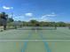Outdoor tennis court with green surface and blue lines, framed by fencing and trees at 26209 Madras Ct, Punta Gorda, FL 33983