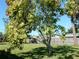 Lush backyard with a fruit-bearing mango tree and grass lawn at 582 Reading Nw St, Port Charlotte, FL 33952