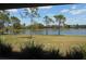 Scenic backyard with a tranquil lake view, lush greenery, and mature trees enhancing privacy at 12656 Sagewood Dr, Venice, FL 34293