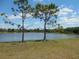 Scenic waterfront view of a tranquil lake and lush green surroundings under a beautiful partly cloudy blue sky at 12656 Sagewood Dr, Venice, FL 34293