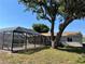 A large tree that shades the screened-in pool and patio at 18459 Inwood Ave, Port Charlotte, FL 33948