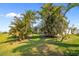 Lush green backyard providing a tranquil setting with mature palm trees and a glimpse of the screened lanai at 265 White Marsh Ln, Rotonda West, FL 33947