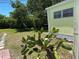 This backyard features a lawn with sparse vegetation and a cactus at 805 S Green Cir, Venice, FL 34285