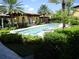 Lap pool with sun loungers, and lush manicured shrubs at 98 Vivante Blvd # 9834, Punta Gorda, FL 33950
