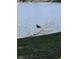 Scenic view of the pond with a bird perched on a branch at 25225 Rampart Blvd # 1801, Punta Gorda, FL 33983