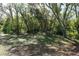 Image of the lot lush with mature trees and offering a serene and private setting at 29211 Picador St, Punta Gorda, FL 33982