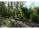 Image of the lot lush with mature trees and offering a serene and private setting at 29211 Picador St, Punta Gorda, FL 33982