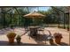Screened-in patio featuring a dining table set with an umbrella and potted plants, offering an outdoor relaxation space at 29211 Picador St, Punta Gorda, FL 33982