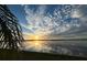 Sunset over the water, reflected on the surface, with palm leaves in the foreground at 29211 Picador St, Punta Gorda, FL 33982