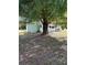 Backyard shed for extra storage, nestled under the shade of a large tree at 4461 La France Ave, North Port, FL 34286
