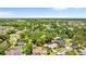 Overhead shot of a tree-lined neighborhood with large homes and mature landscaping, perfect for families at 1102 Hunt Club Ln, Valrico, FL 33594