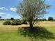 Picturesque view of the golf course, highlighting the natural beauty and landscaping of the area at 1295 Saxony Cir # 2101, Punta Gorda, FL 33983