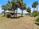 Expansive backyard showcasing mature palm trees, lush landscaping, and the home's screened-in lanai at 18151 Cochran Blvd, Port Charlotte, FL 33948