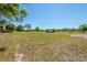 Expansive backyard featuring a shed and verdant grass, offering ample outdoor space and possibilities at 47350 Bermont Rd, Punta Gorda, FL 33982