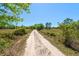 Gravel driveway leading through a beautiful landscape with abundant trees and a lush, green field at 47350 Bermont Rd, Punta Gorda, FL 33982