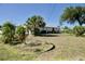 Overgrown backyard with a few small palm trees at 5050 Prosch Cir, North Port, FL 34288