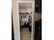 Walk-in closet with organized shelving, hanging clothes, and well-lit space at 376 Waterside St, Port Charlotte, FL 33954
