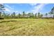 Expansive open land surrounded by mature trees, offering privacy and natural beauty at 6405 Alan Blvd, Punta Gorda, FL 33982