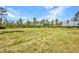 Beautiful, expansive land parcel with grassy field and mature trees, perfect for building your dream home at 6405 Alan Blvd, Punta Gorda, FL 33982
