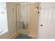 Bathroom showing glass enclosed shower with gray towel at 98 Valdiva St, Punta Gorda, FL 33983