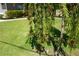 Lush front yard with decorative tree, healthy lawn, and manicured landscaping at 98 Valdiva St, Punta Gorda, FL 33983