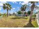 Large backyard with palm trees features a chicken coop, landscaping, shed, and partially fenced perimeter at 2411 Atwater Dr, North Port, FL 34288