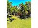 Lush backyard featuring mature palm trees and manicured lawn, creating a tropical oasis at 4344 Commercial St, Port Charlotte, FL 33953