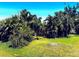 Landscaped front yard featuring lush tropical foliage and mature trees, creating a private outdoor space at 4344 Commercial St, Port Charlotte, FL 33953