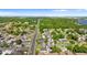Expansive aerial view of a neighborhood with lush greenery and a cityscape in the distance at 815 Papaya Dr, Tampa, FL 33619