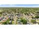 A wide shot of the neighborhood showing mature trees and the community at 815 Papaya Dr, Tampa, FL 33619
