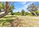 Expansive backyard with mature trees, lush greenery, and plenty of open space, perfect for outdoor activities at 3400 Allapatchee Dr, Punta Gorda, FL 33950